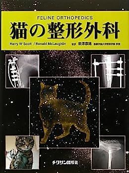 【セール，新品】 【中古】猫の整形外科 その他