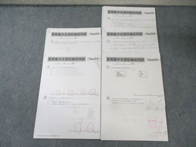 桜蔭算数　夏期集中志望校錬成特訓&SS特訓 SAPIX サピックス 桜蔭コース 夏期集中志望校錬成特訓 算数 【計