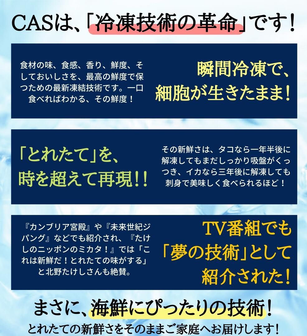 超特大・サンホルヘ湾の生赤エビ20尾セット【特殊CAS冷凍】海鮮BBQバーベキュー 刺身OK
