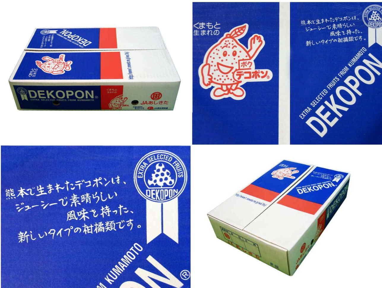 デコポン 18〜24玉