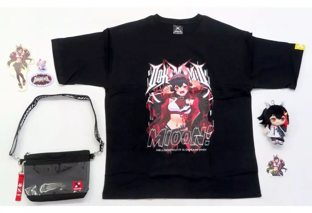 国鉄 急行「ざおう」／「ばんだい」行先・愛称表示板・ミニ乗車口案内