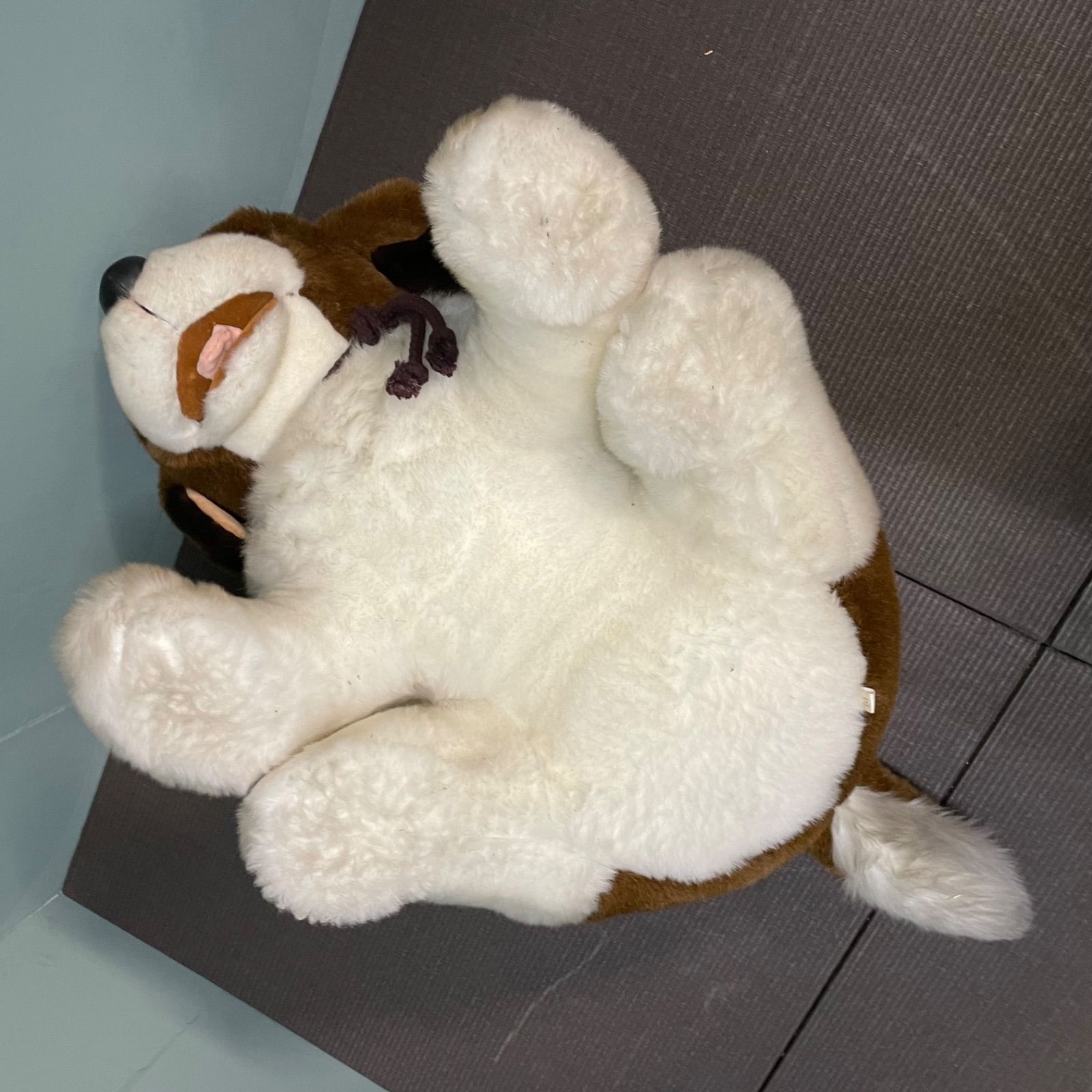 ♭ 特大 大型 ぬいぐるみ 犬 セントバーナード 人形 マスコット 置物