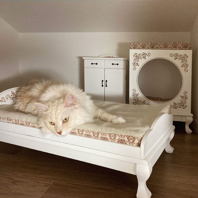 ペット用ベッド 猫脚ボックス型ハウス ハウス ペットベッド 猫脚ベッド ペット用 愛猫 ベッド おしゃれ アンティーク調 猫足 ネコ 小型犬 ホンイーテラス HT-148 USTAUSTRALIA_COM_AU