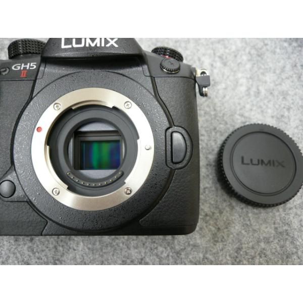 Panasonic LUMIX GH5 ボディ + レンズ2本セット ミラーレス Amazon | パナソニック(Panasonic) ミラーレス一眼カメラ ルミックス