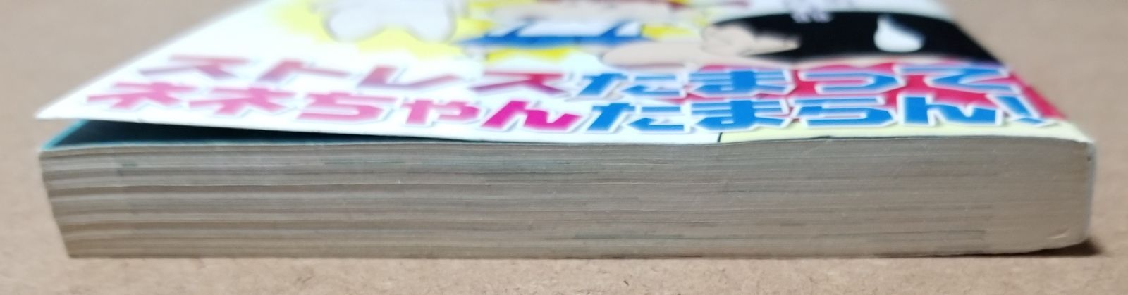 アニメクレヨンしんちゃんオールカラー いつものねねちゃんじゃない