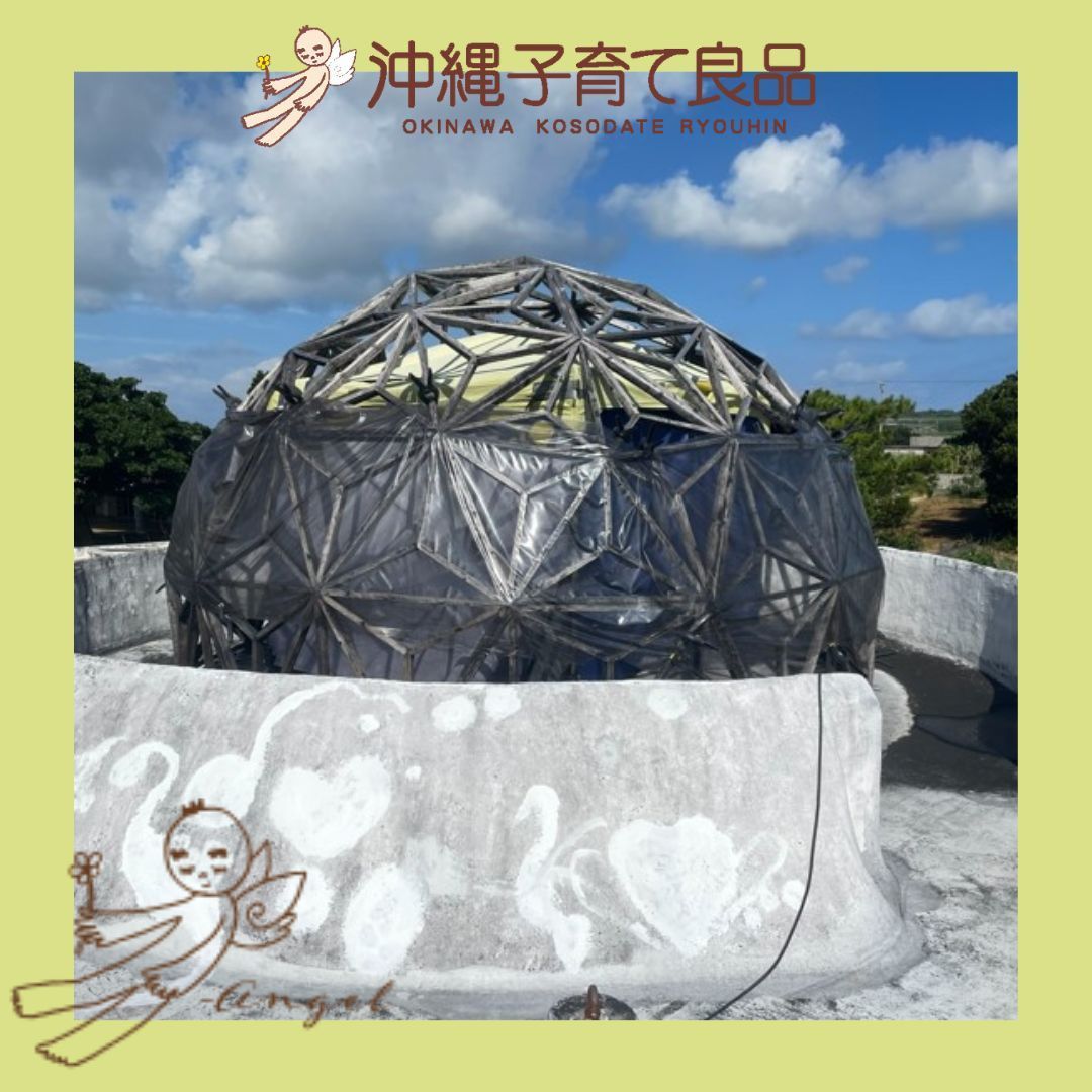 CHC16スピニングプレート（直径10㎝）希少☆ラメ入✨ヒマラヤ産