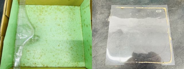 ケンちゃん ヨネザワ