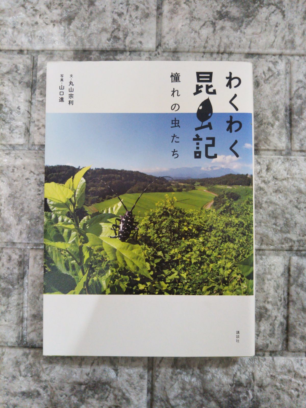 わくわく昆虫記 憧れの虫たち - メルカリ