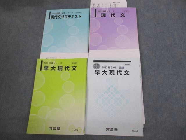 河合塾 早稲田大学 早大コース 現代文/サブテキスト 通年セット 2020