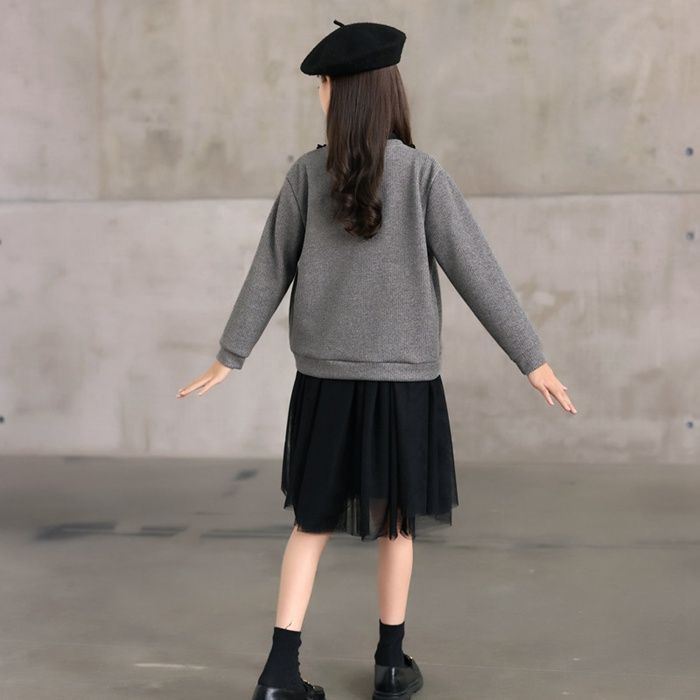 発表