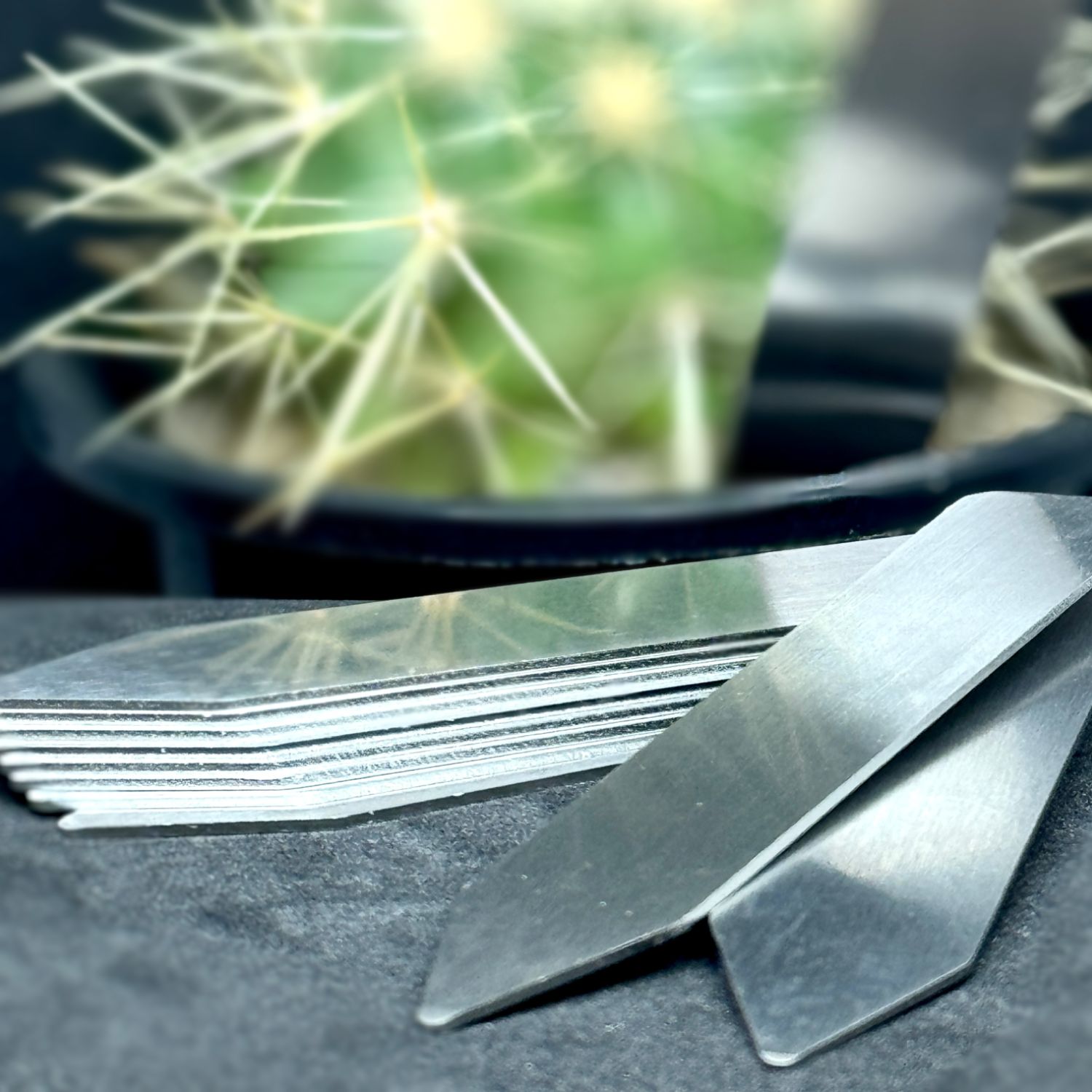 プランツタグ 50本入り I型（シングル） ステンレス - メルカリ