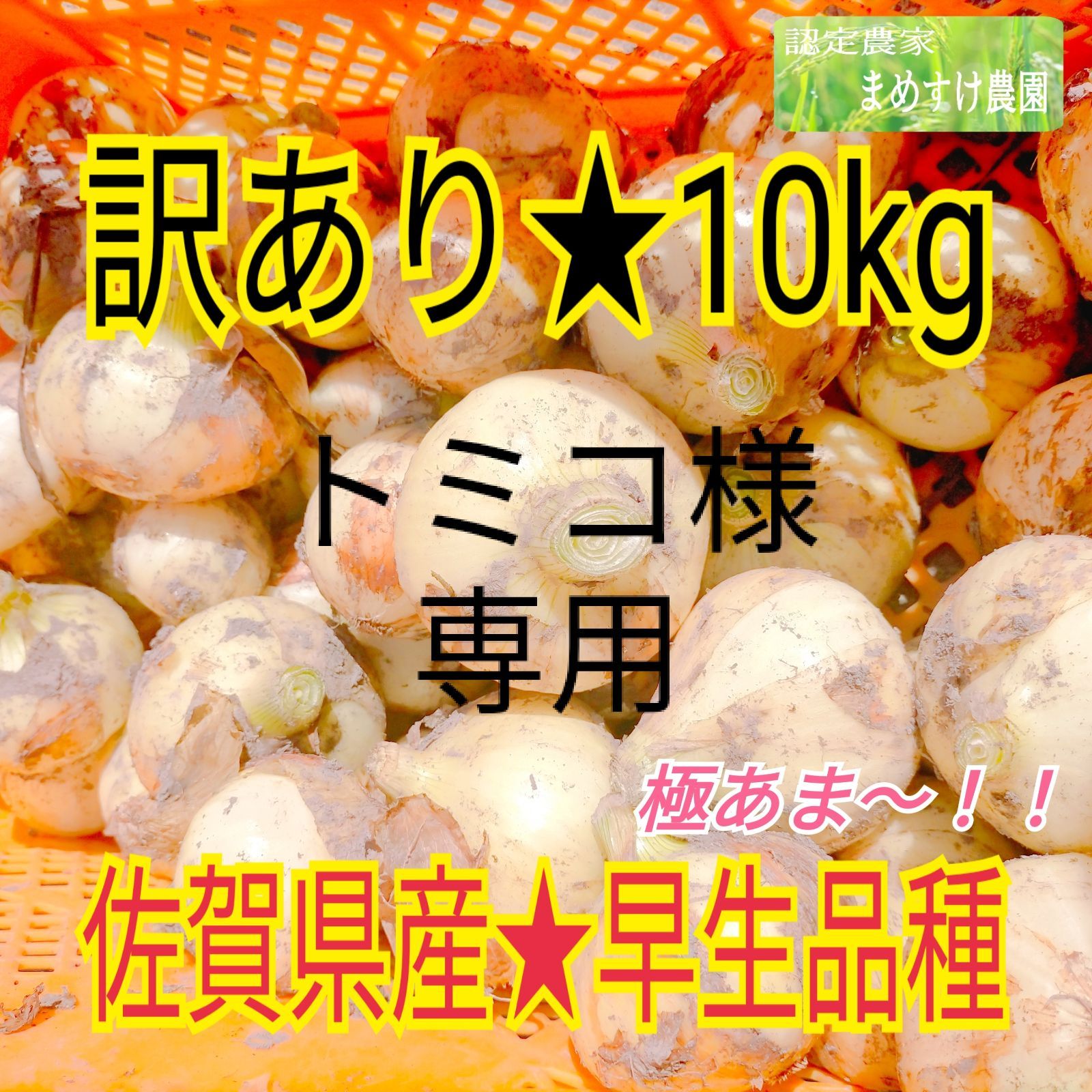 トミコ様専用 佐賀県産 極甘 新 玉ねぎ 早生品種 訳あり 10kg - 豆すけ