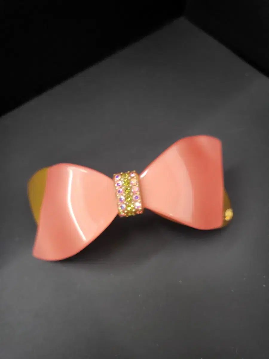 フランス ジャン ポール ゴルチエ チョンピン