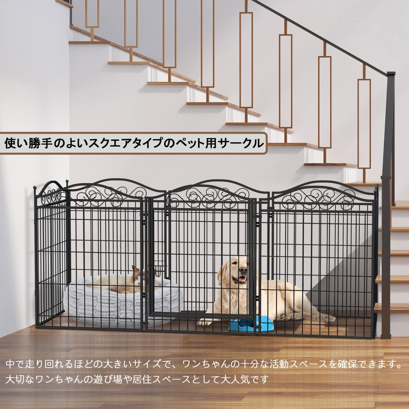 屋外 小型犬