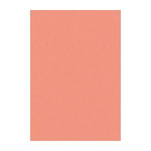 リンテック ニュー Ｒ 8 NCR-127 サーモン