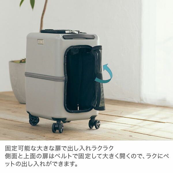 かわいい