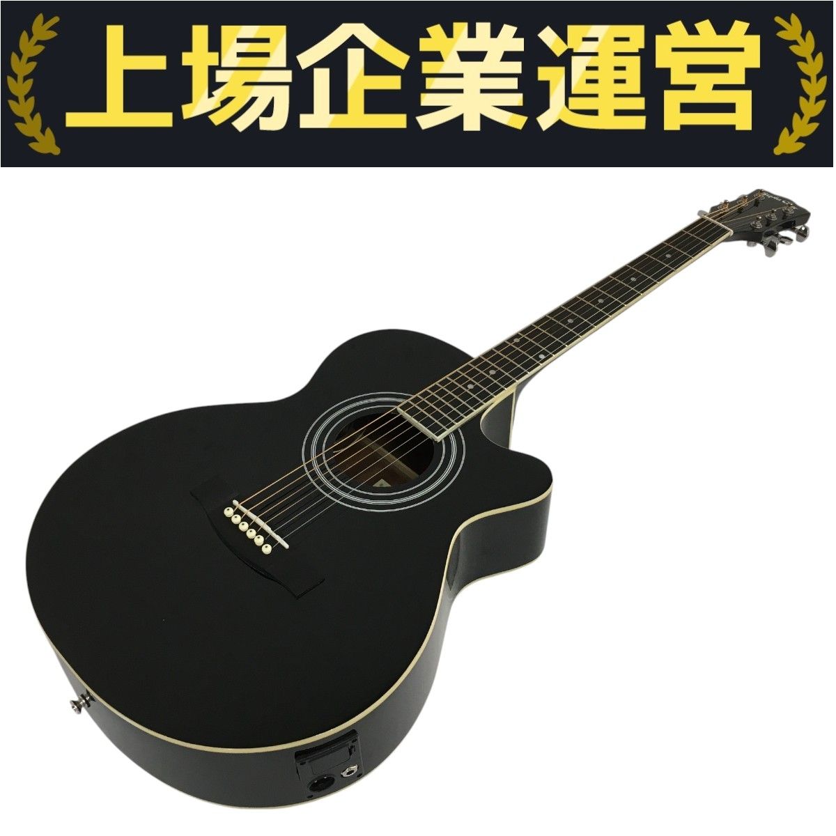 Sepia Crue EAW-01 エレアコ アコースティックギター セピアクルー