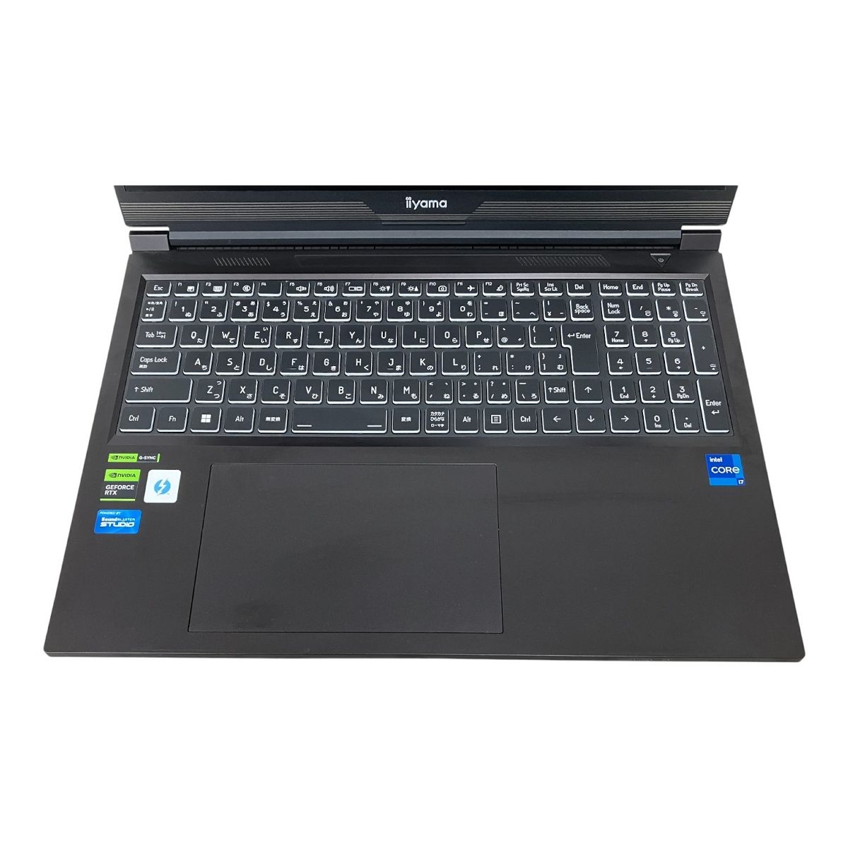 iiyama LEVEL ILeNEs-16FX163-i7-RMSXB ノート パソコン 16GB SSD 512GB RTX 4060 Win11 M10522360 VETTDRUCK_DE