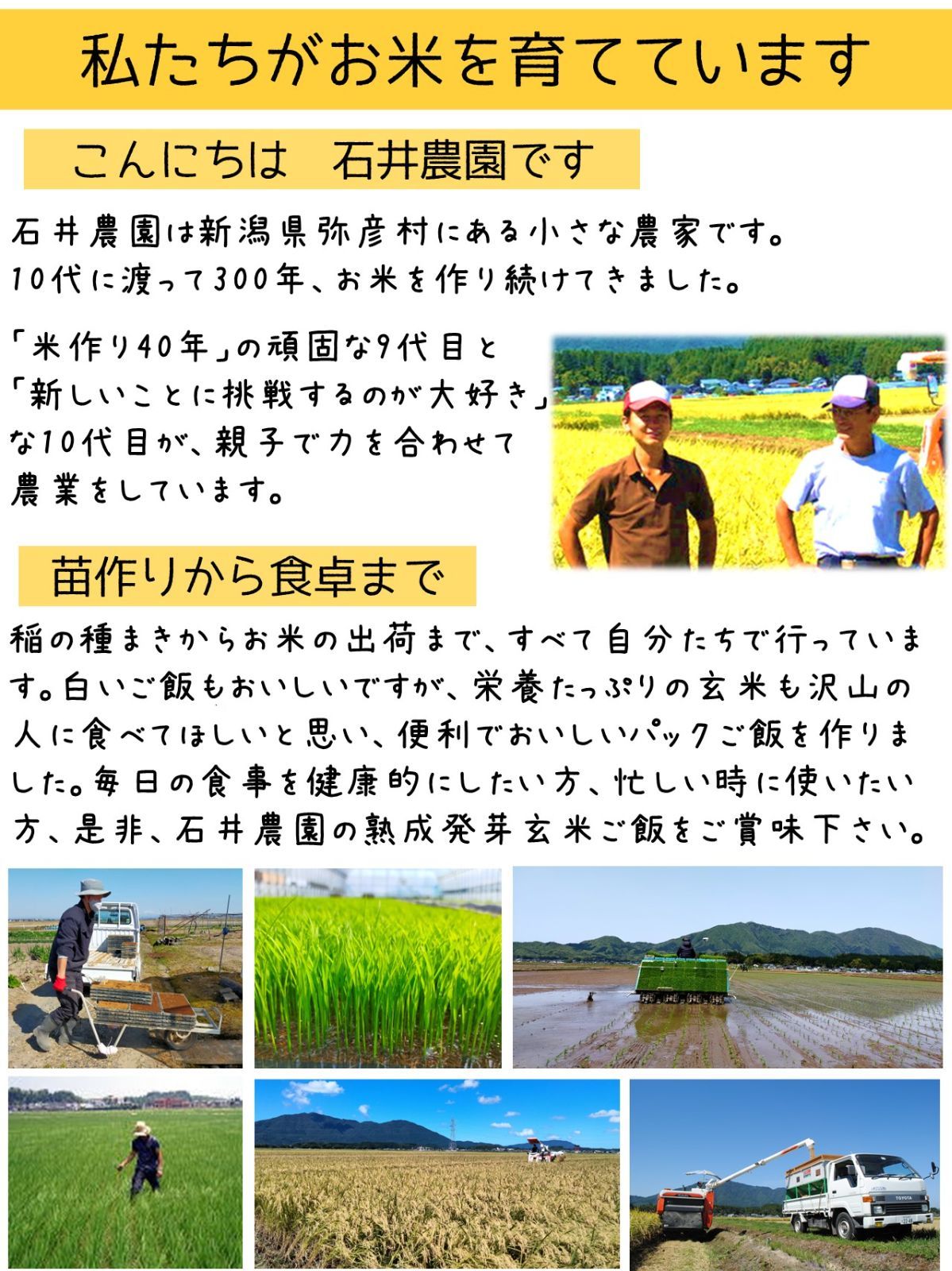 【新米・送料込み】新潟県弥彦村石井農園　令和6年（2024年）産コシヒカリ【白米 10kg】