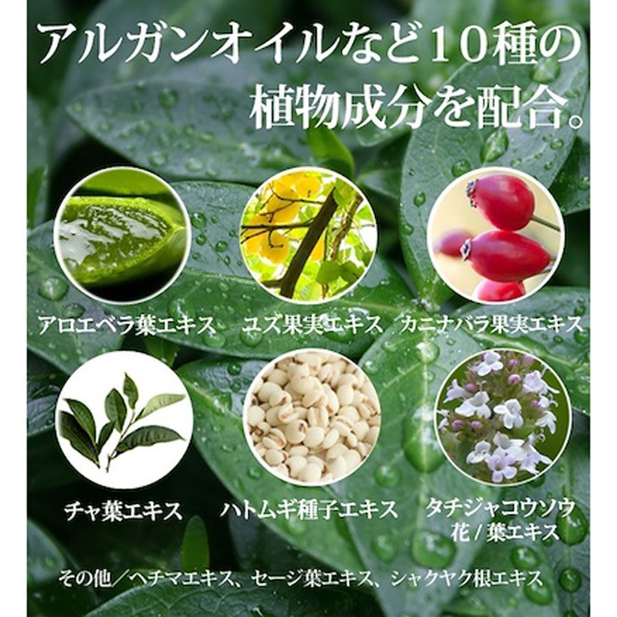 3セット