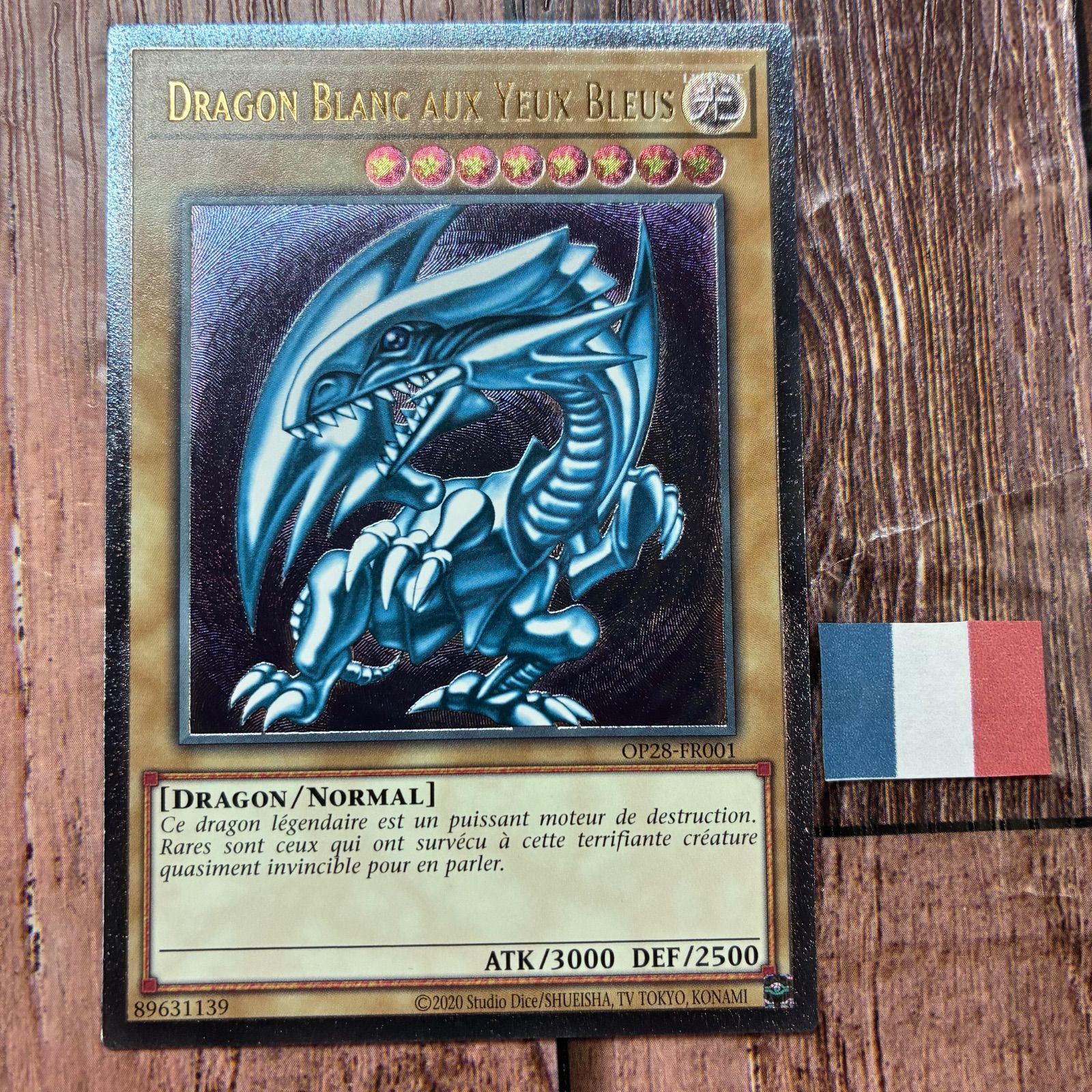 遊戯王 フランス版 EU版 青眼の白龍 OTS28 レリーフ