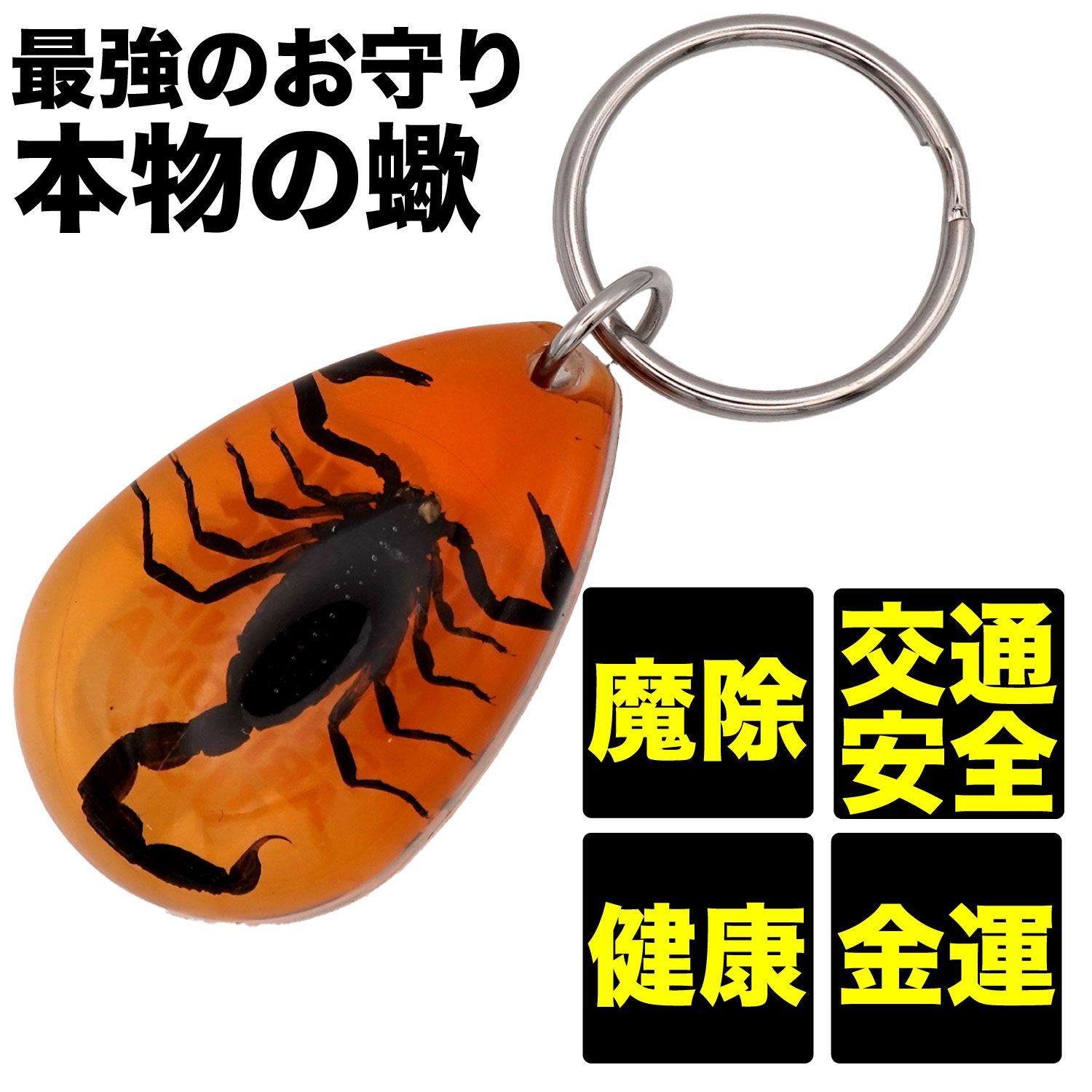 USA ARIZONA SCORPION DROP KEYCHAIN 蠍 サソリ スコーピオン