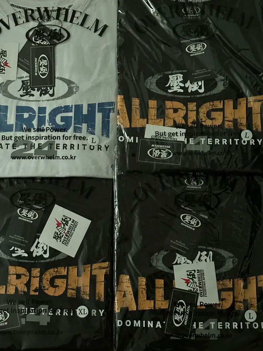 オールライト×圧倒 コラボ モデルTシャツ 圧倒オールライト DOM BORN TO WIN