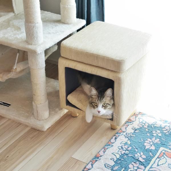 かわいい おしゃれ