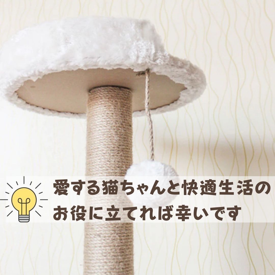 キャットウォーク