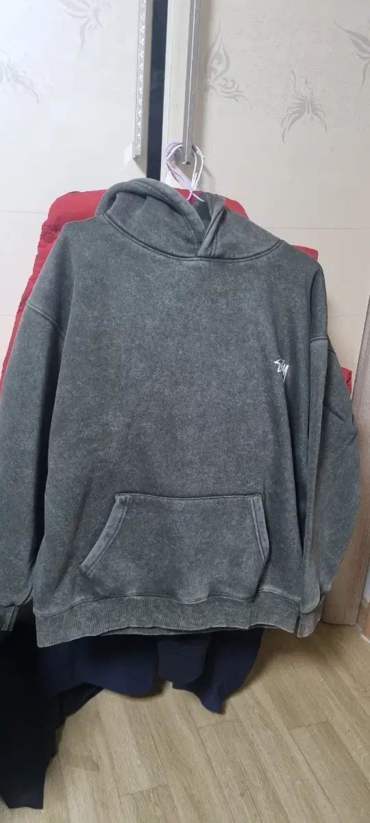 STUSSY(ステューシー) PIGMENT(ピグメント) フード付きTシャツ