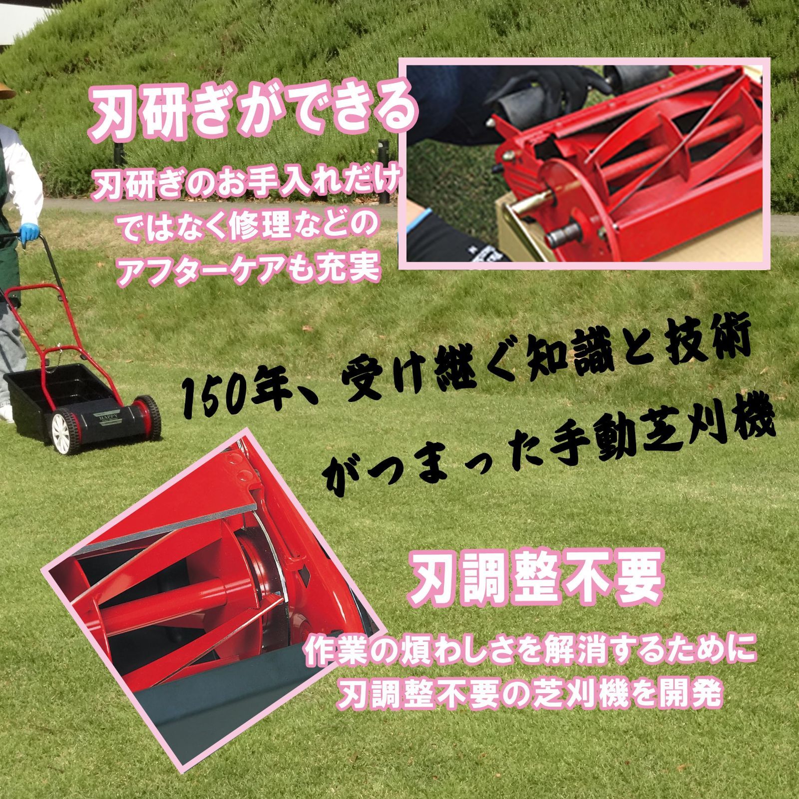 ゴールデンスター