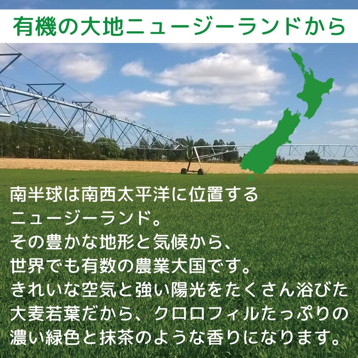 ソーキ 有機 ＪＡＳ 認定 ニュージーランド の 大麦 若葉 90ｇ 5袋 セット