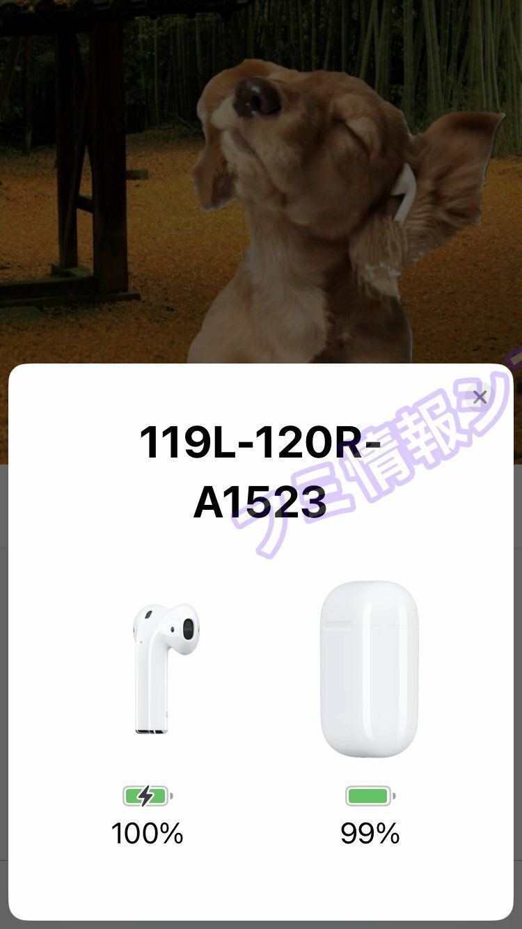 アップルAirPods右耳/A1523/第１世代/電池新品４時間/良品120R