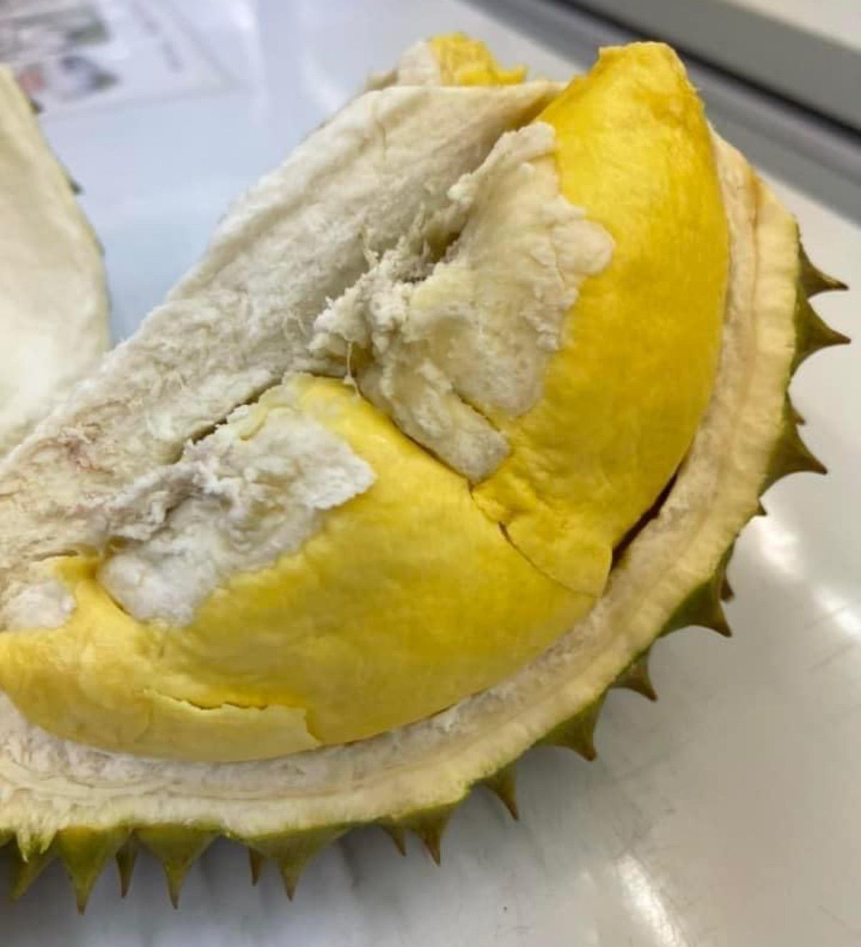 冷凍モントン種ドリアン 10パック クリーミーな食感 - メルカリ