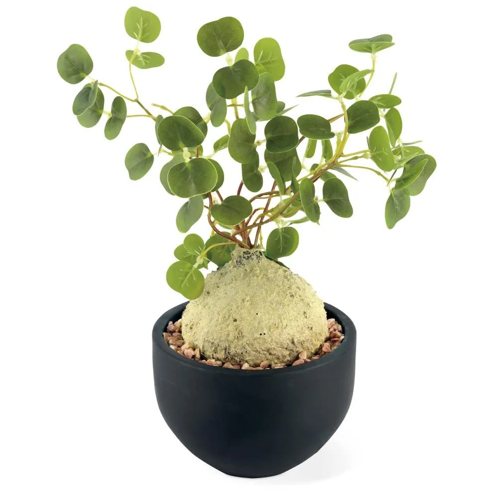 7Wfjzn5mqpHvQYCTkgywKm.jpg@webp