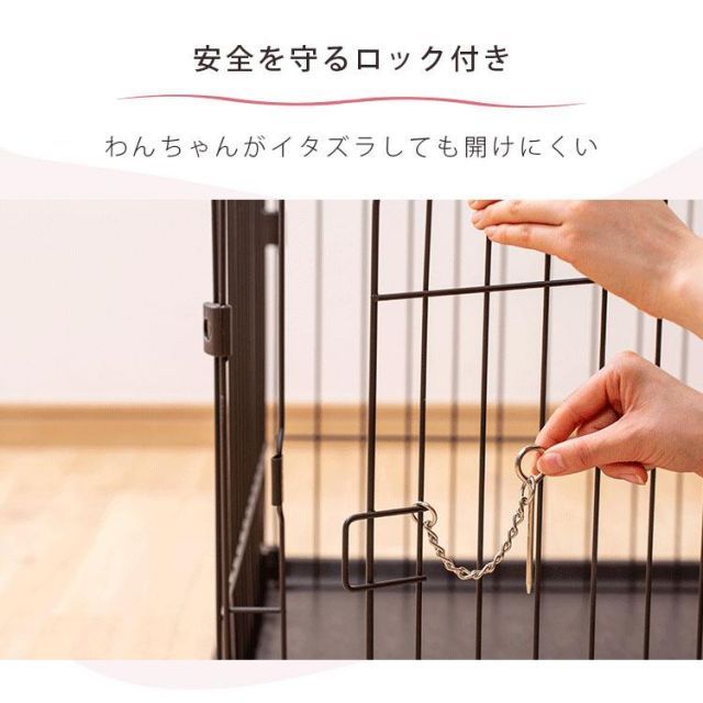 公式 犬