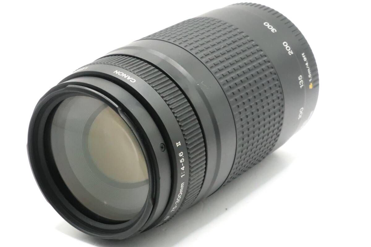 ☆良品☆キヤノン CANON EF 75-300mm F4-5.6 II☆ N0190＃1709 【公式 