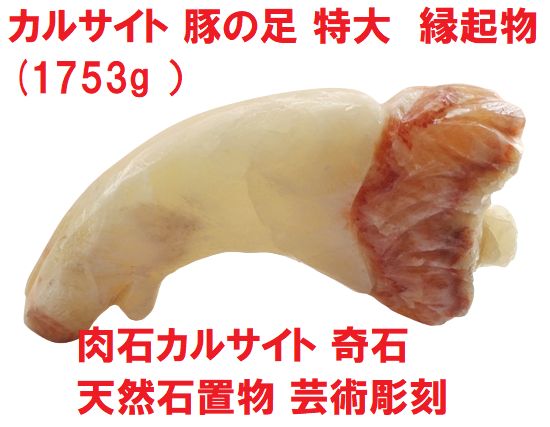 森山大道 A3ポスター 黒猫 YOSHIROTTENが森山大道の写真を拡張/加工