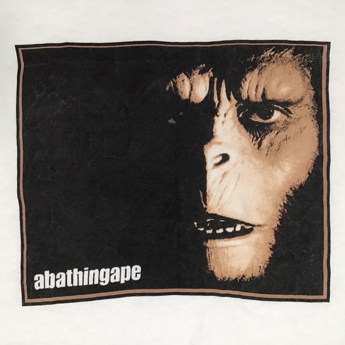 BAPE × stash 初期 Hanes Tシャツ 000000004269 - メルカリ