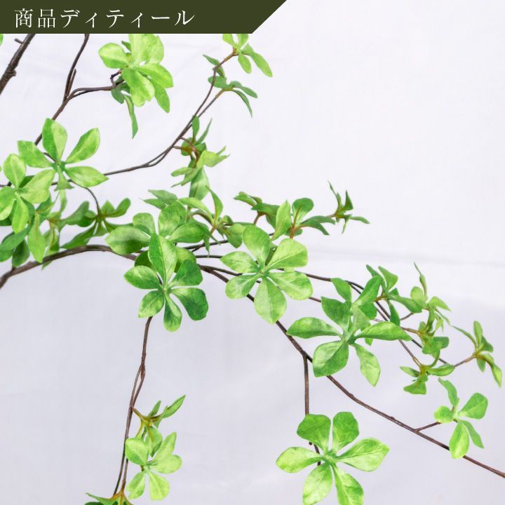 シルカ