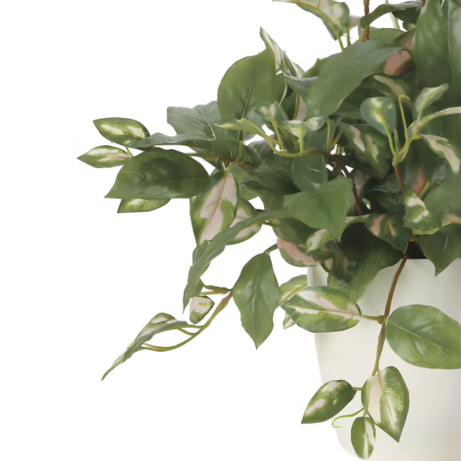 光触媒 人工観葉植物 ウォールグリーン フェイクグリーン 光触媒 人工観葉植物 ウォールグリーン フェイクグリーン