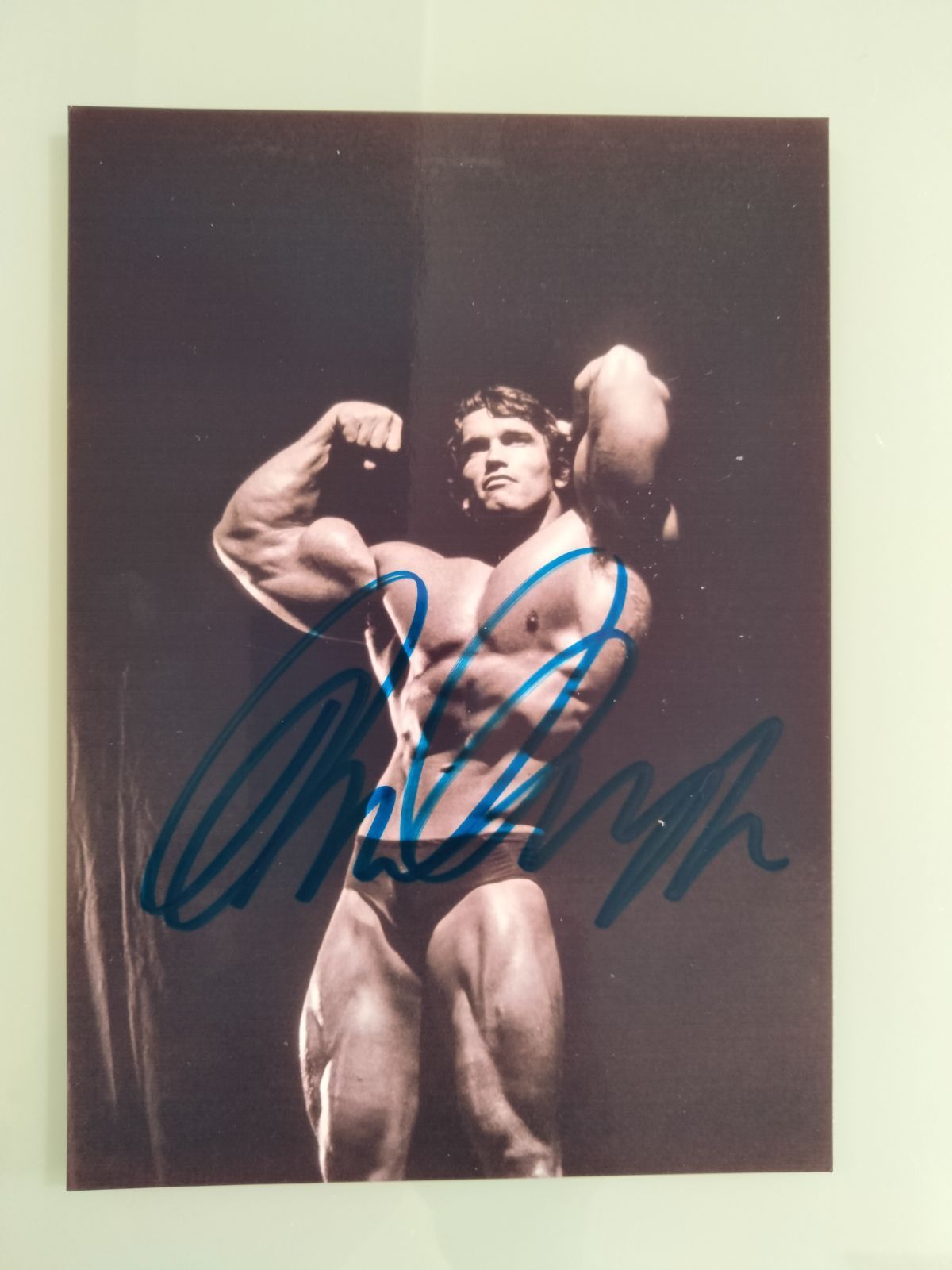 アーノルド・シュワルツェネッガー直筆サイン入り2Lサイズ写真… アーノルド・シュワルツェネッガー直筆サイン入り2Lサイズ写真…Arnold