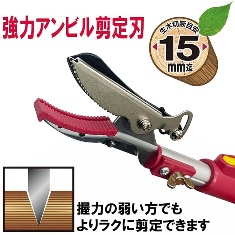 レッド|シルバー