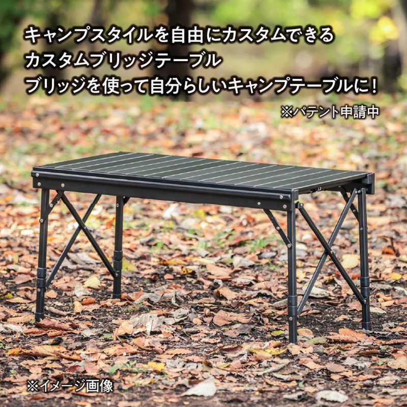 送料無料 【新品 未使用 未開梱】 アウトサム カスタムブリッジ