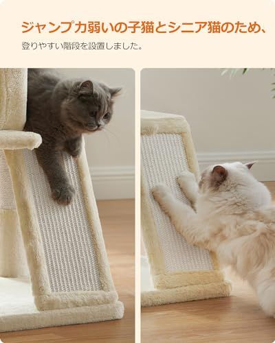 猫タワー