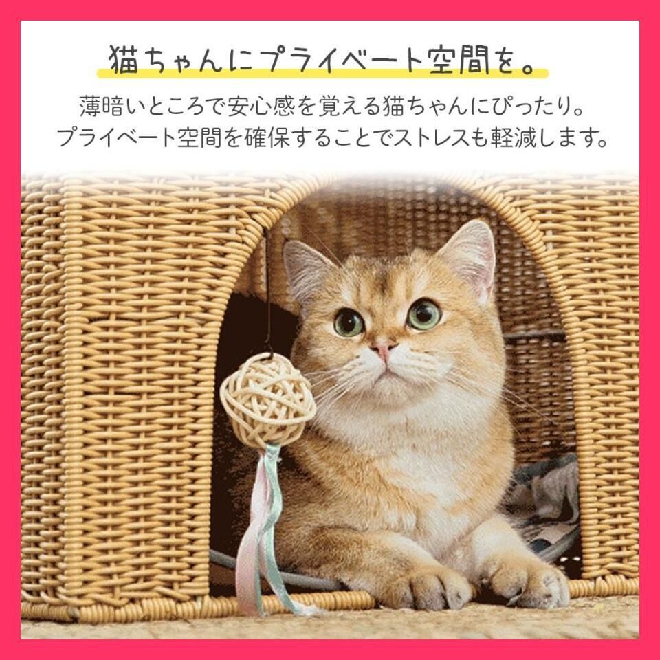 冬