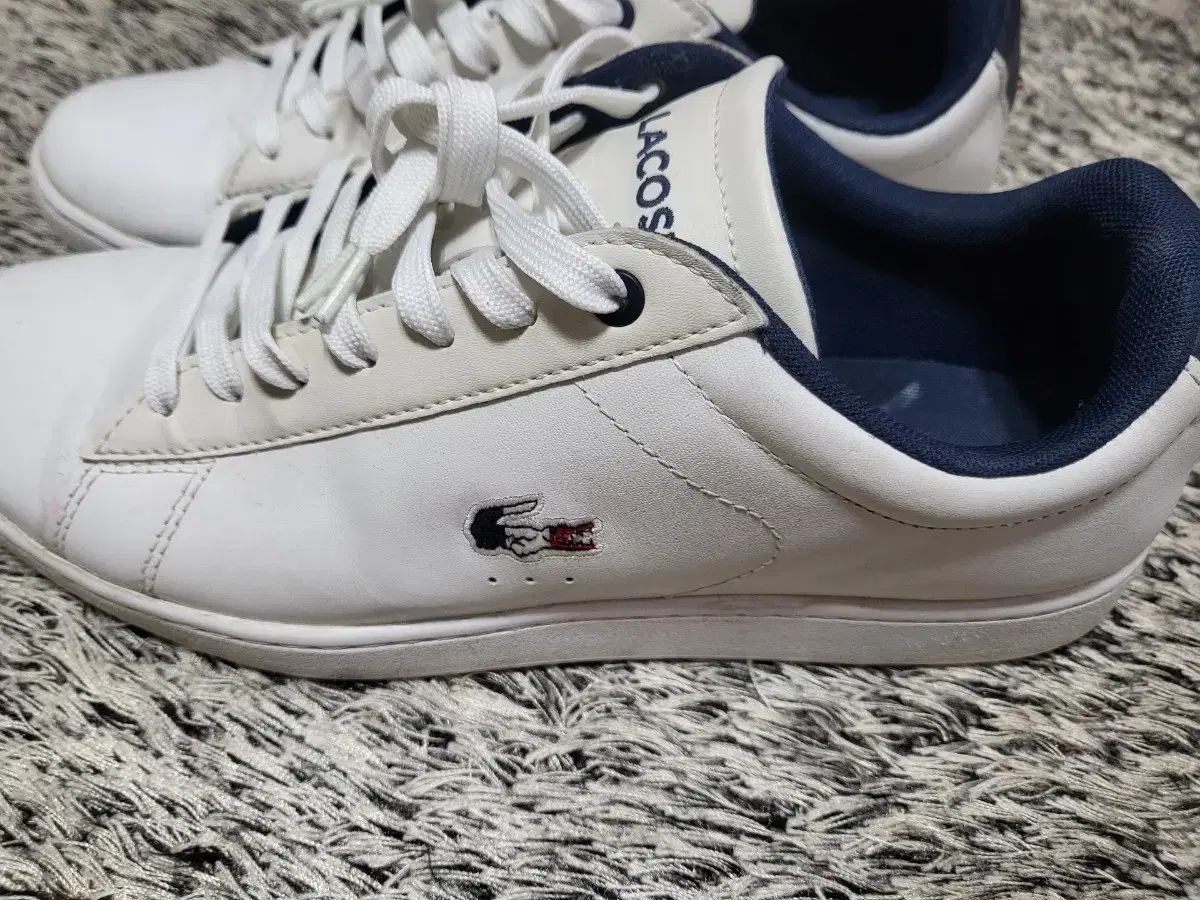 LACOSTE ラコステ カナビシューズ