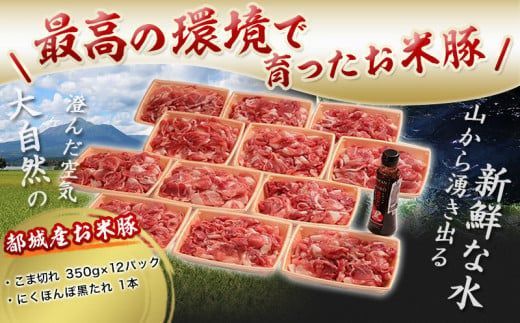 宮崎県