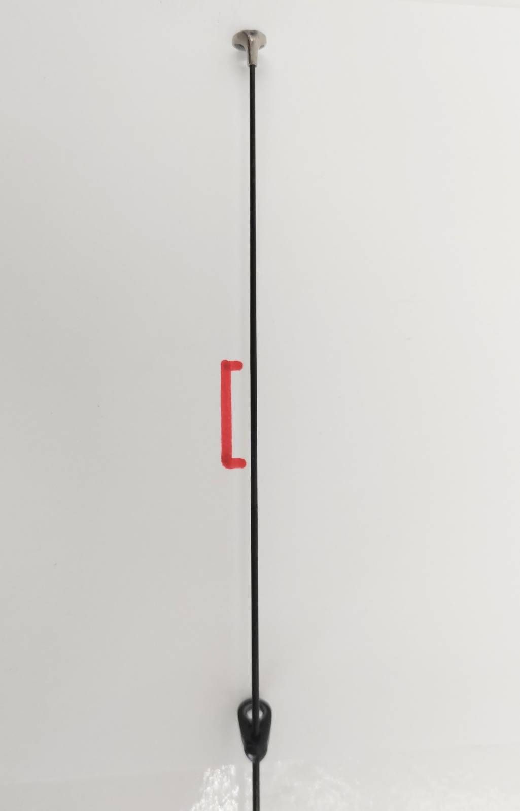 口太グレ メジナ