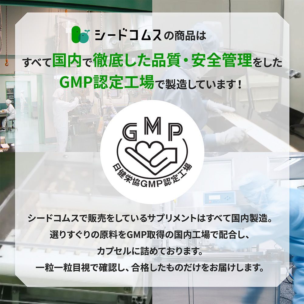 公式】【シードコムス】【サプリメント】【健康食品】イチョウ葉